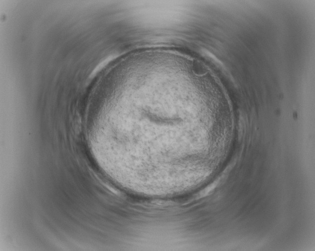 X0000062921449200602031910