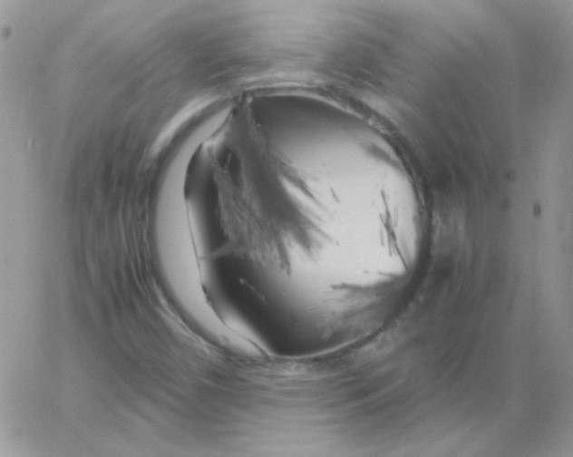 X0000062921450200602031910