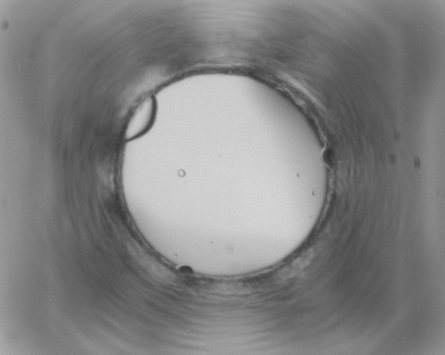 X0000062921451200602031910