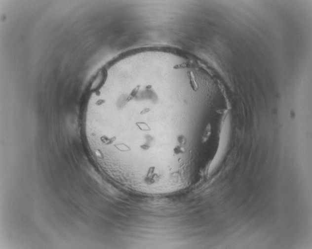 X0000062921452200602031910