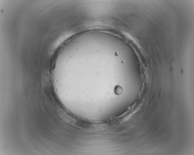 X0000062921453200602031910