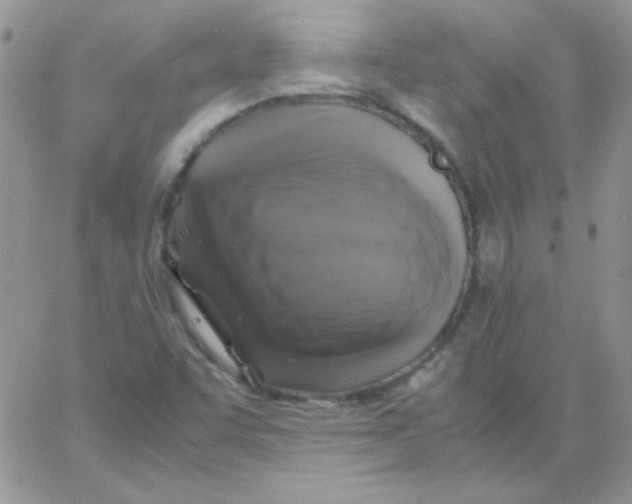 X0000062921455200602031910