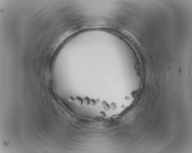 X0000062921457200602031910