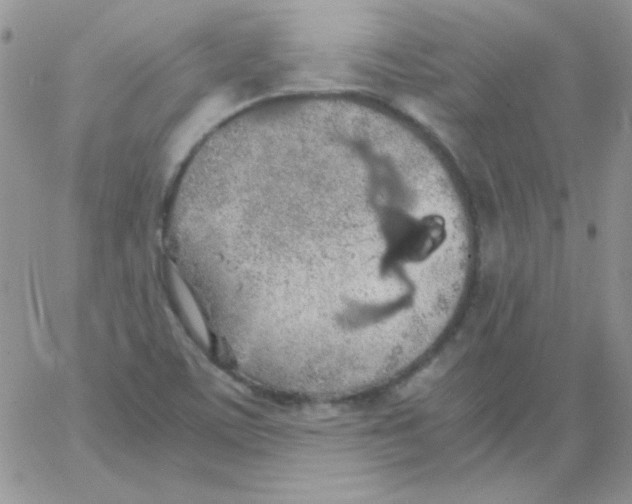 X0000062921459200602031910