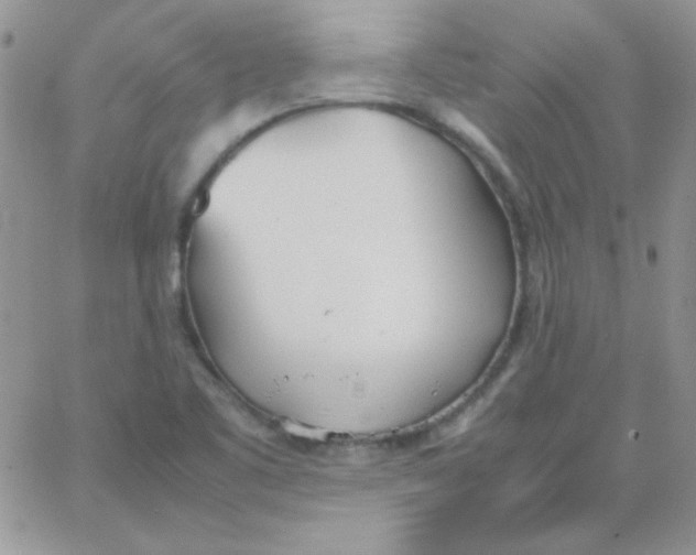 X0000062921461200602031910