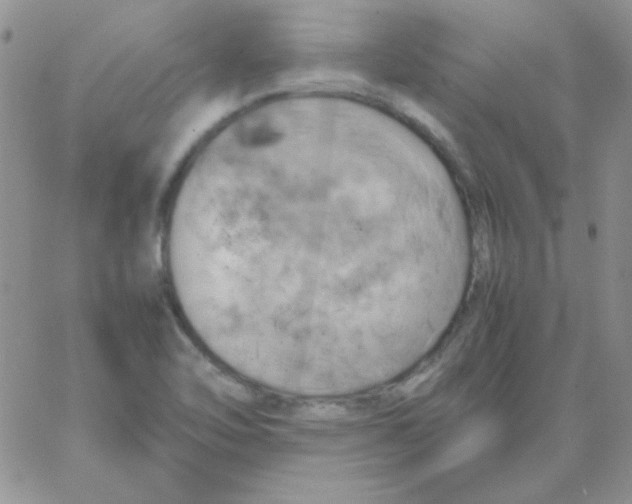 X0000062921462200602031910