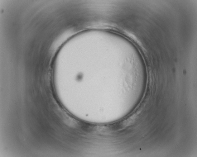 X0000062921463200602031910