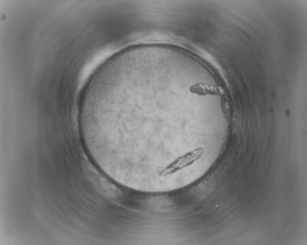 X0000062921464200602031910