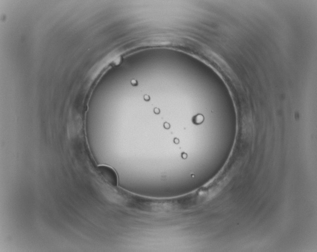 X0000062921465200602031910