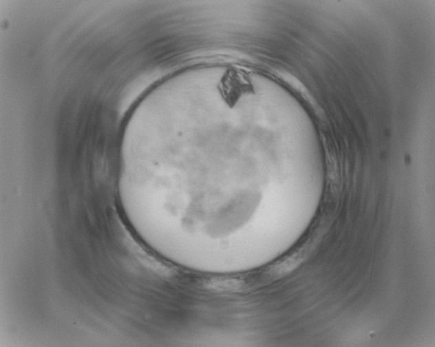 X0000062921466200602031910