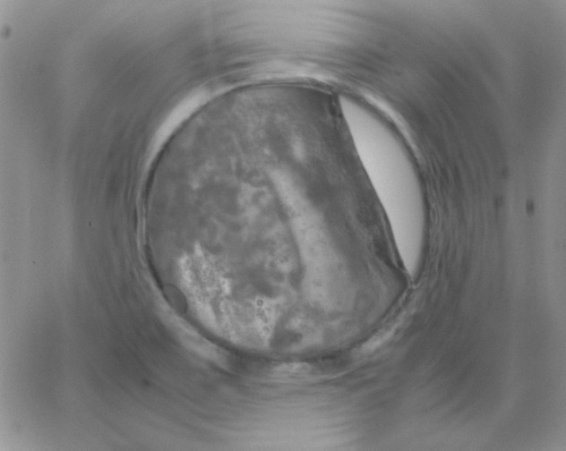 X0000062921467200602031910