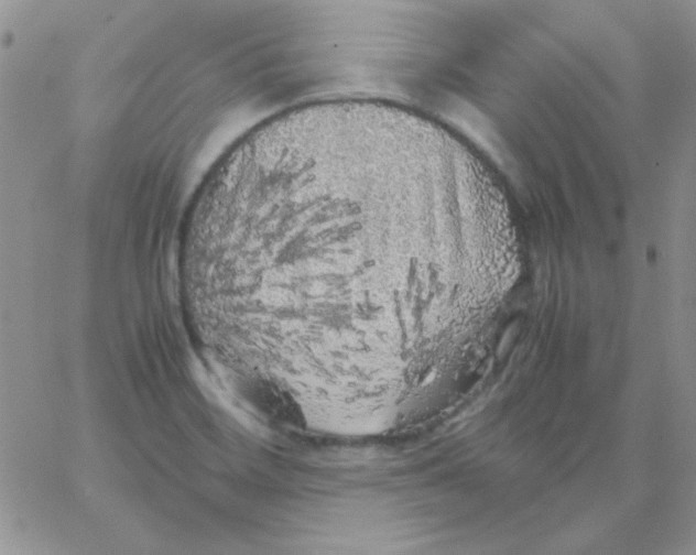 X0000062921468200602031910