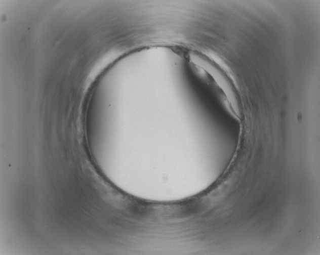 X0000062921469200602031910