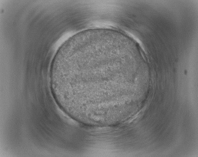 X0000062921471200602031910