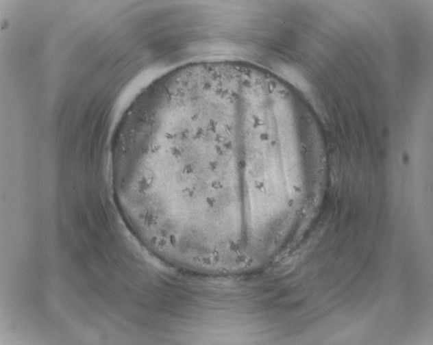 X0000062921472200602031909