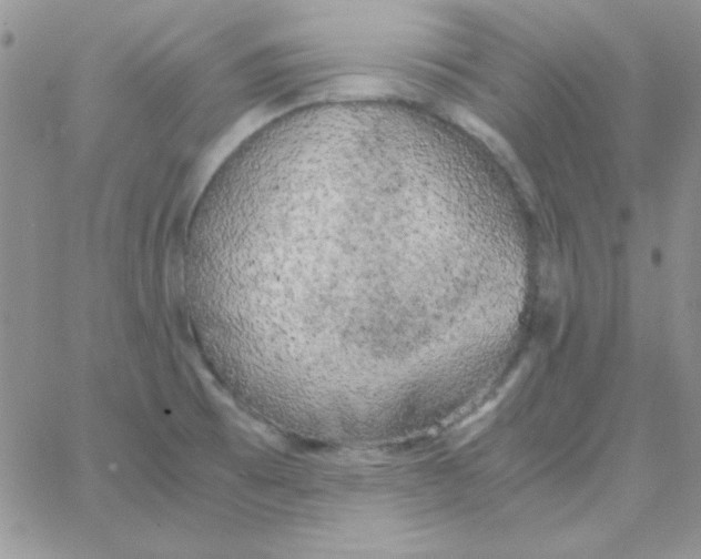 X0000062921473200602031909