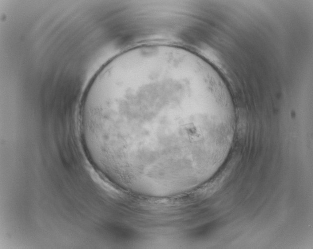 X0000062921474200602031909