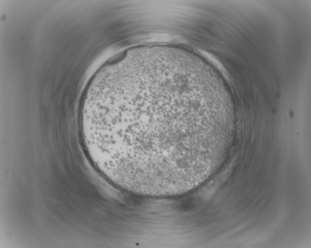 X0000062921475200602031909