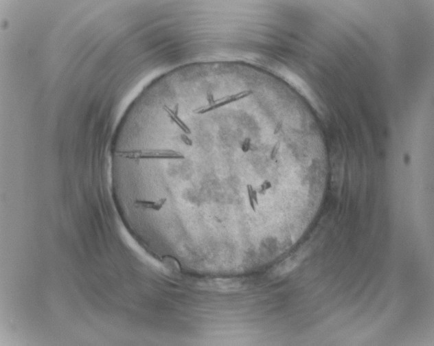 X0000062921476200602031909