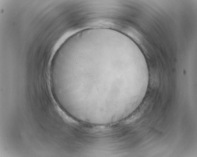 X0000062921478200602031909