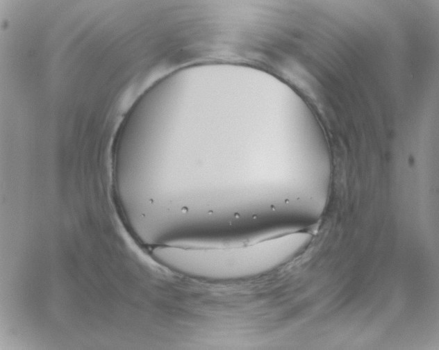 X0000062921479200602031909