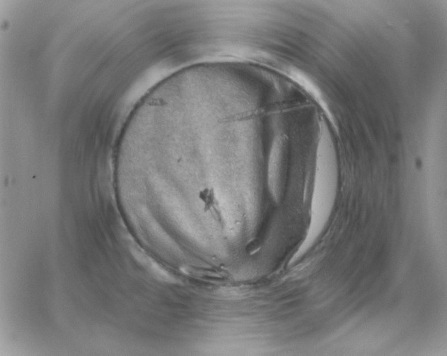 X0000062921480200602031909