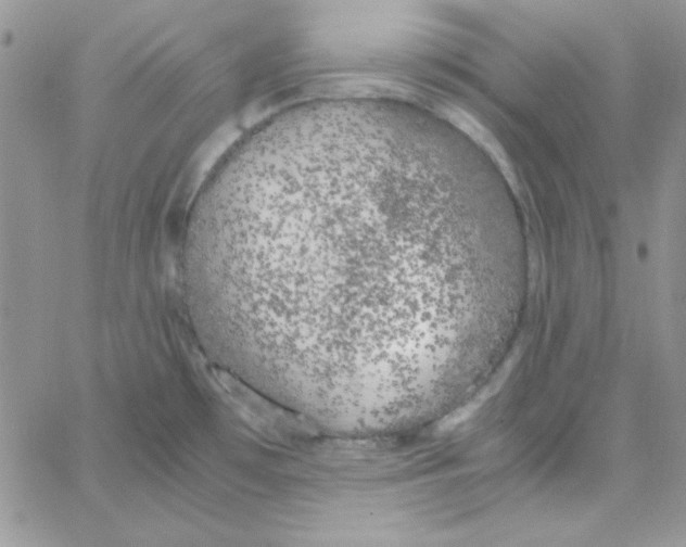 X0000062921481200602031909