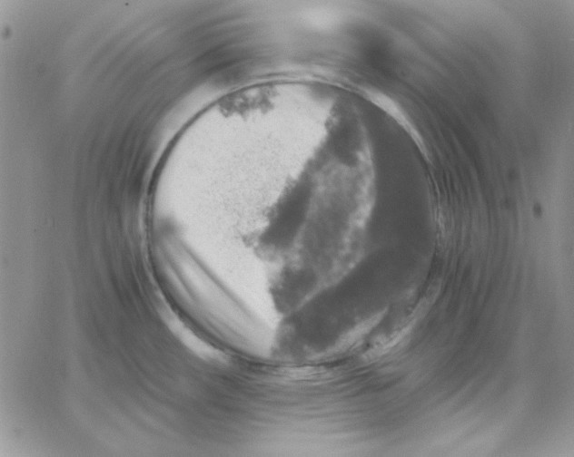 X0000062921482200602031909