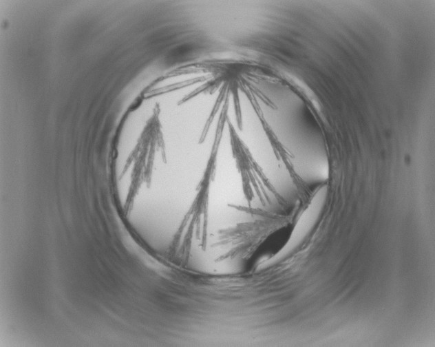 X0000062921483200602031909