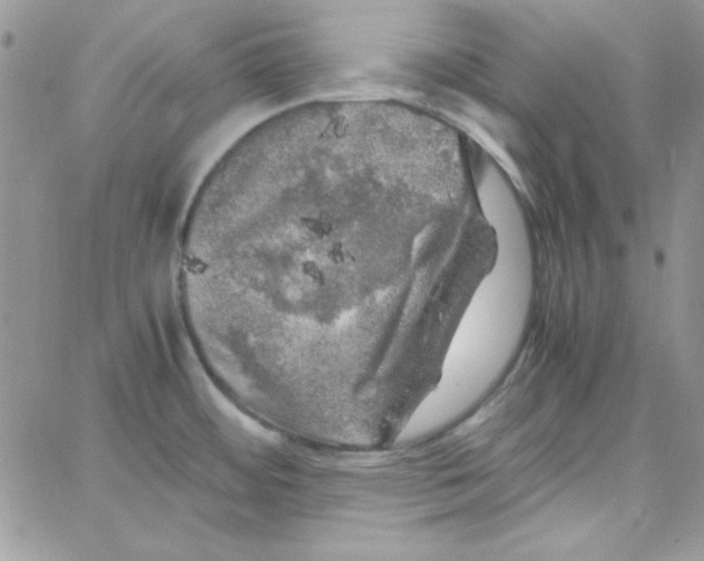 X0000062921484200602031909