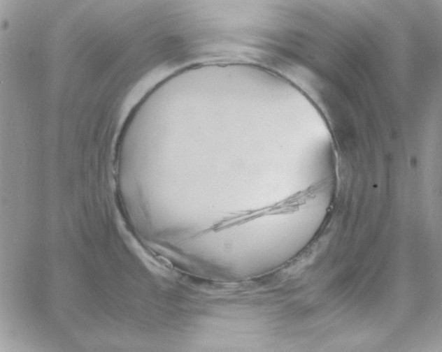 X0000062921485200602031909