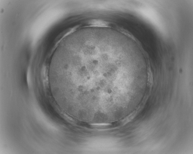 X0000062921487200602031909