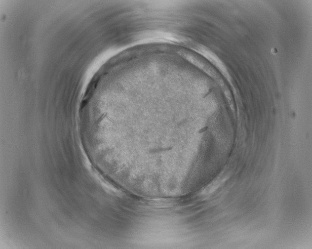 X0000062921488200602031909