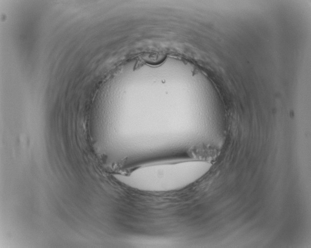 X0000062921489200602031908