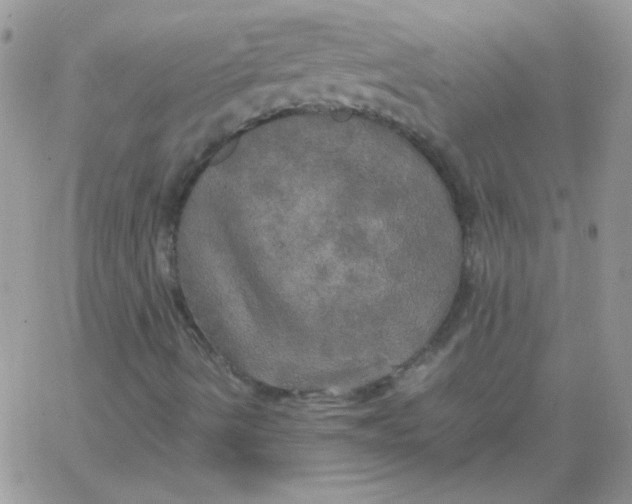 X0000062921490200602031908