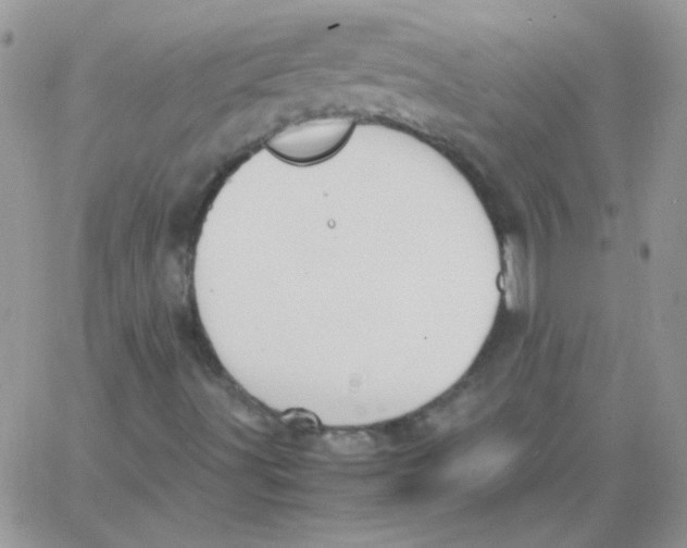 X0000062921491200602031909