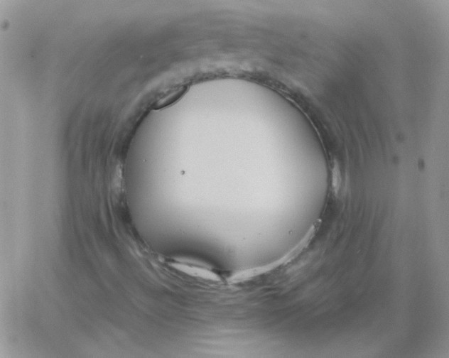 X0000062921492200602031909