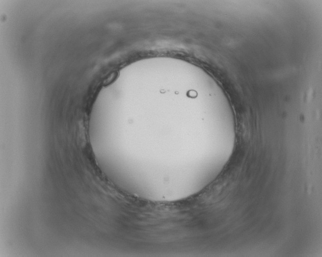 X0000062921493200602031909