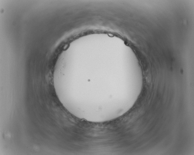 X0000062921495200602031909