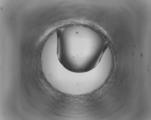 X0000062921496200602031909