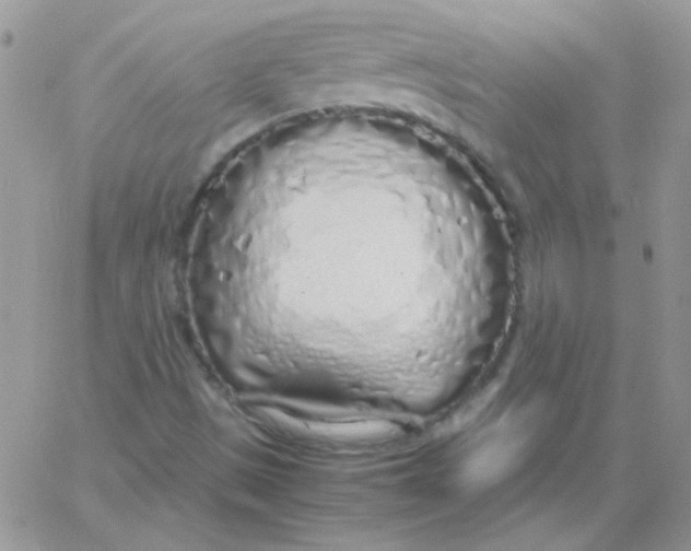 X0000062921497200602031909