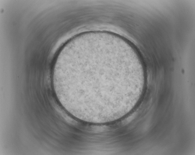 X0000062921498200602031909