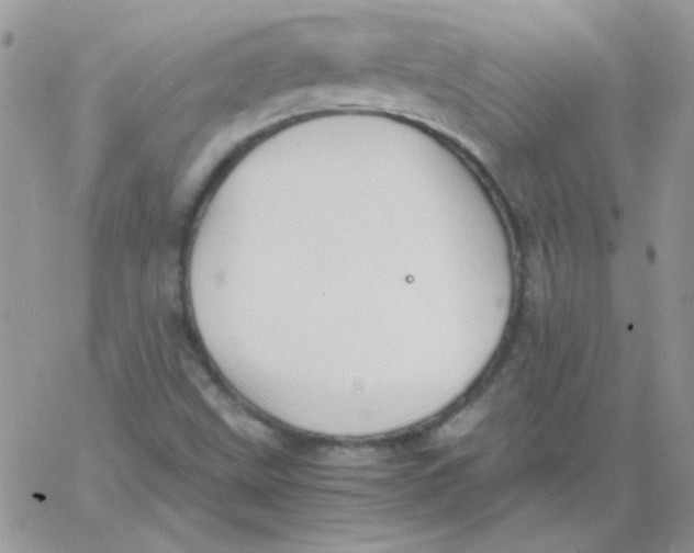 X0000062921499200602031909