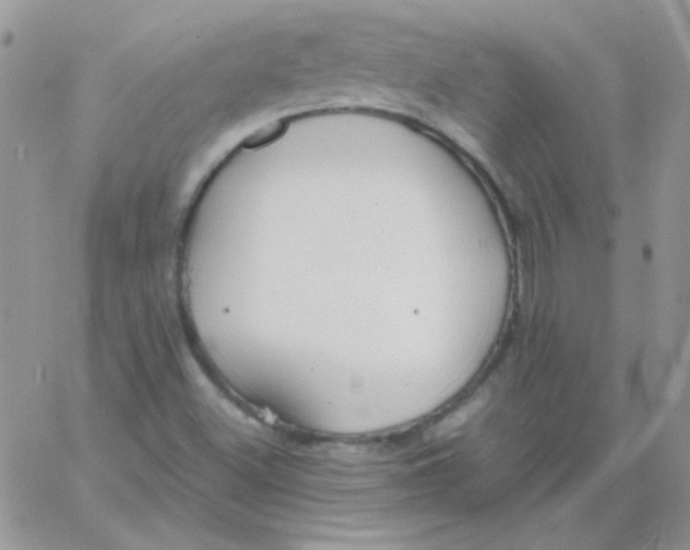 X0000062921500200602031909