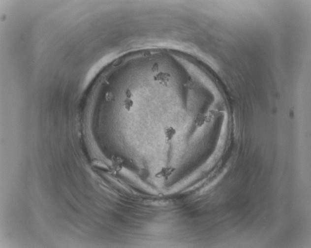 X0000062921501200602031909