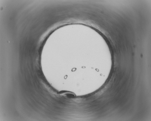 X0000062921502200602031909