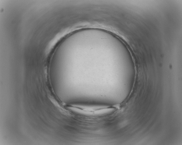 X0000062921503200602031909