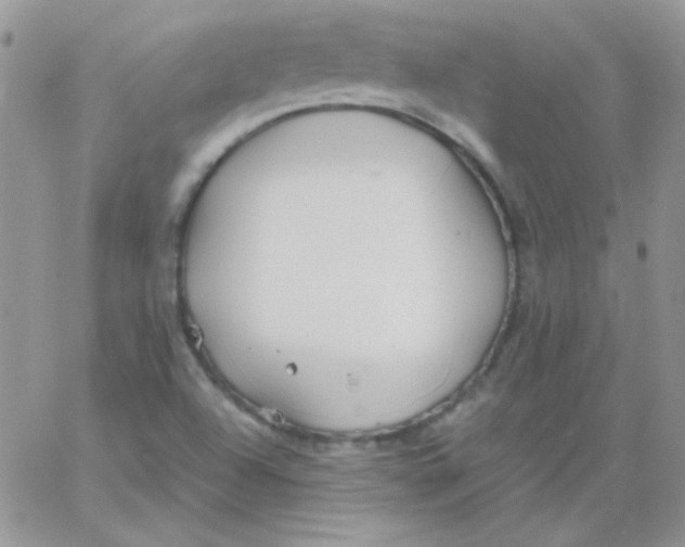 X0000062921504200602031909