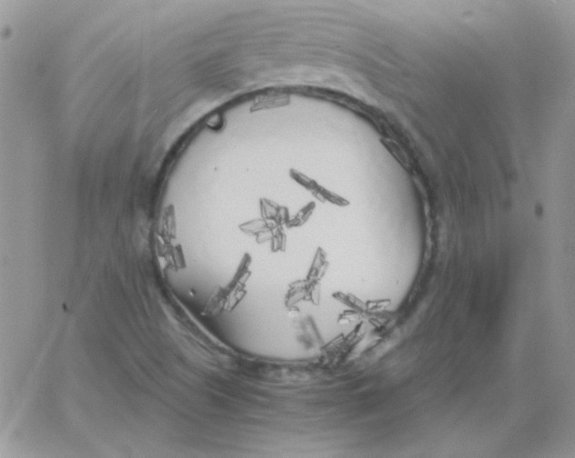 X0000062921505200602031909