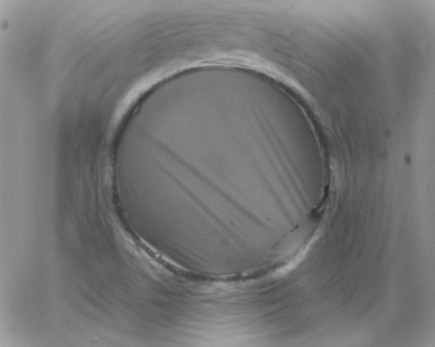 X0000062921506200602031909